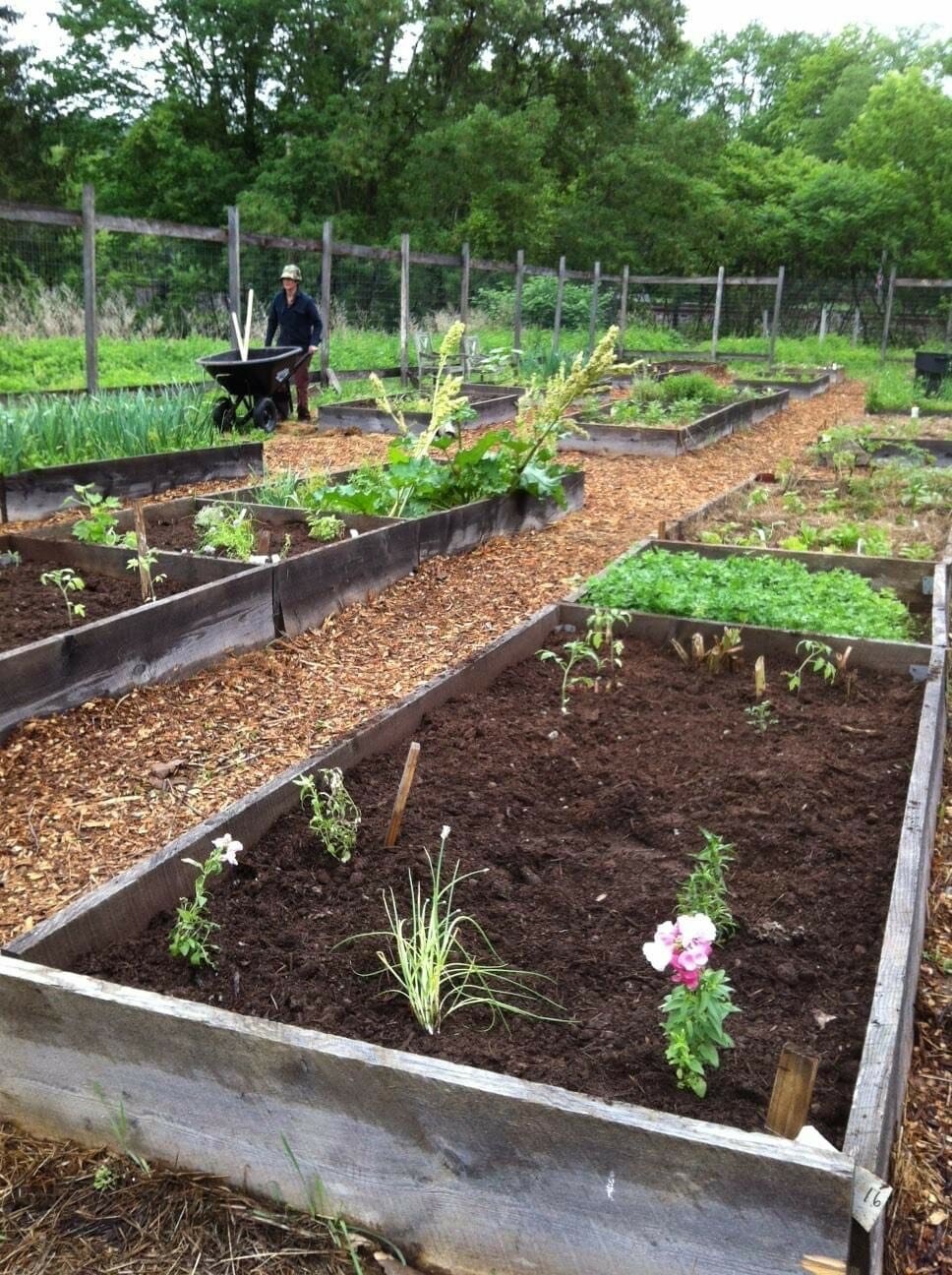 The Tusten Heritage Community Garden offers 4-foot-by-eight-foot raised beds in a 30-foot-by-100-foot deer-fenced area, with access to tools, soil supplements and free events and workshops throughout the year.